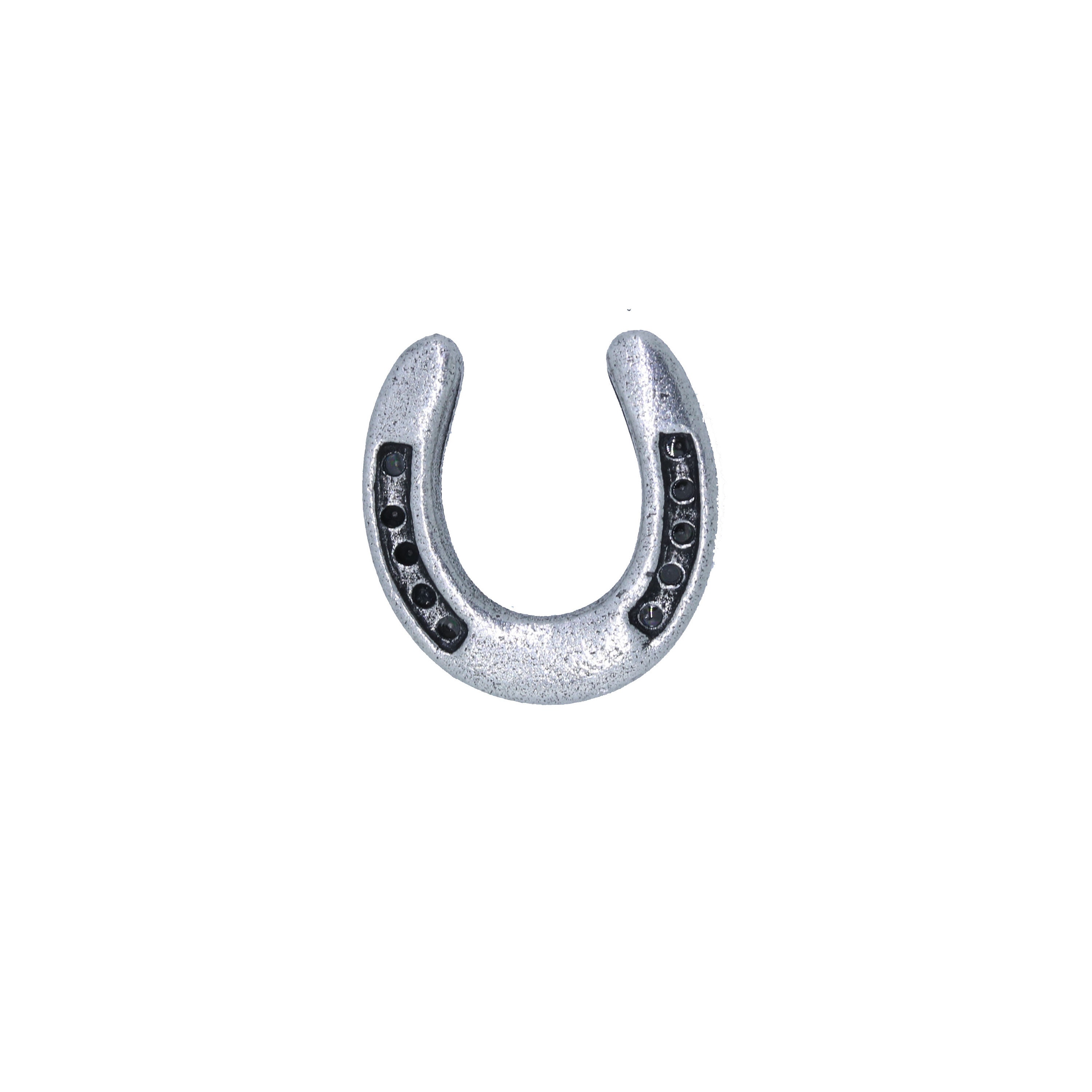 Horseshoe Lapel Pin CC463 Lucky Pins Pins for Luck Good Etsy