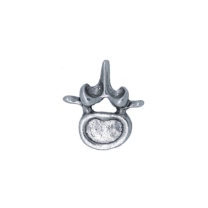 Vertebra Pewter Lapel Pin-  CC594-  Chiropractor and Anatomy Pins- Spine, Neuromuscular, and Alternative Medicine Lapels