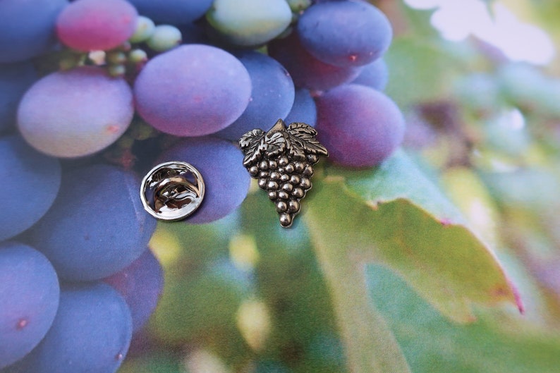 Grapes Lapel Pin CC259 Pewter Vineyard and Wine Gifts and Pins image 7