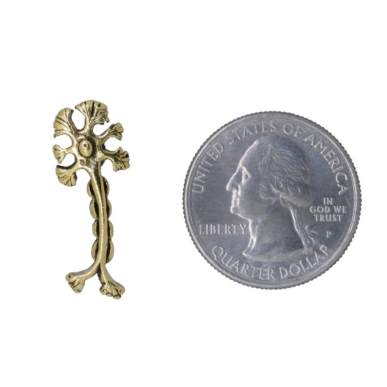 May include: A gold-colored metal neuron model, approximately the size of a US quarter.