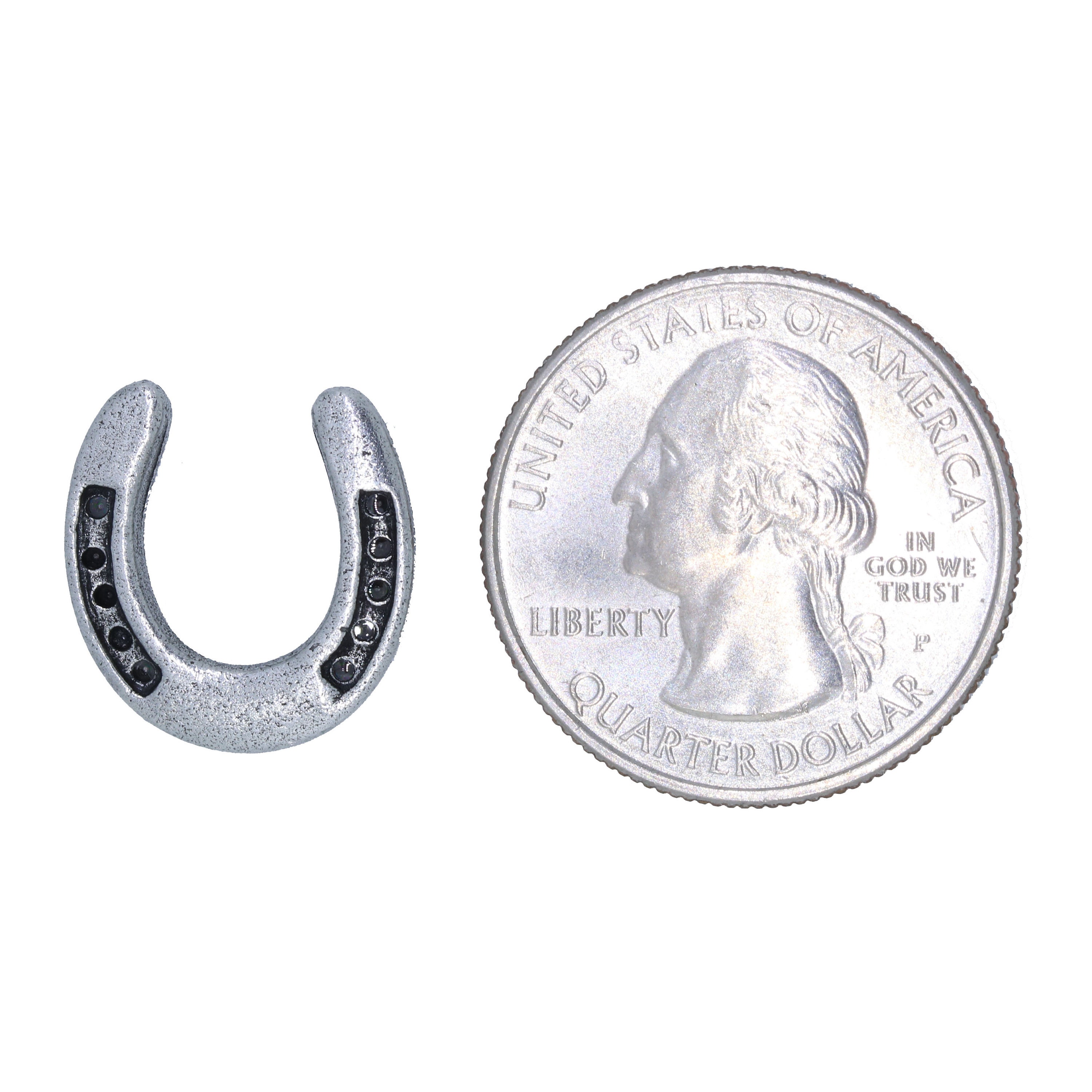 Horseshoe Lapel Pin CC463 Lucky Pins Pins for Luck Good Etsy