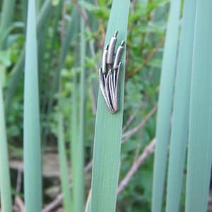 Cat O' Nine Tails Plant Lapel Pin- CC447- Wetland Plants, Ocean Plants, Environment