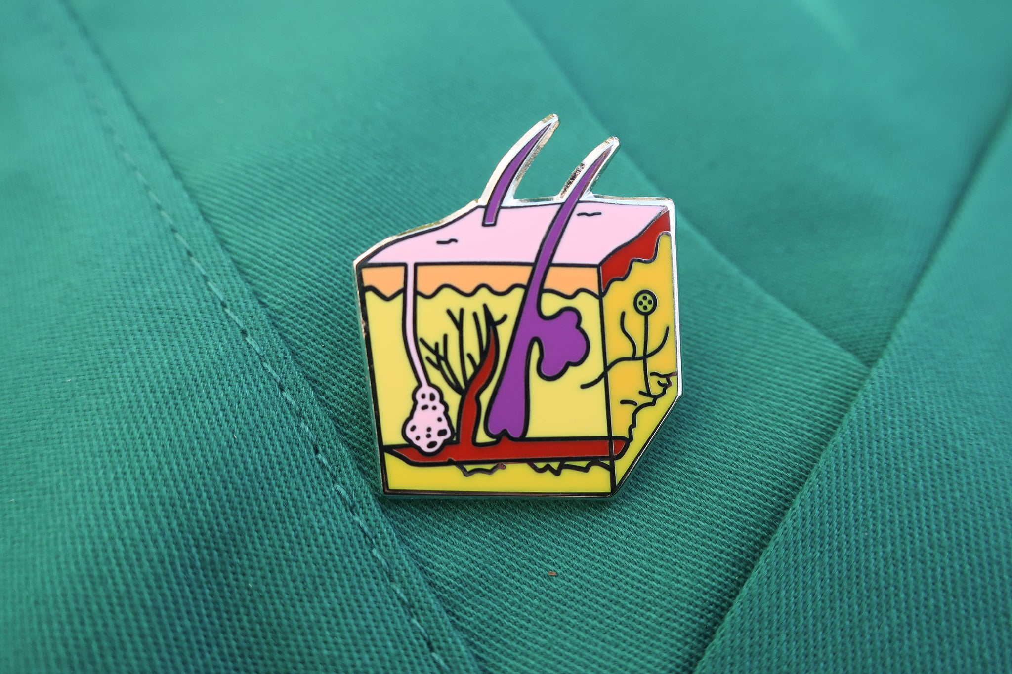 Skin Lapel Pin- EP116- Skin, Dermatologist, Anatomy and Cell Lapel Pins ...