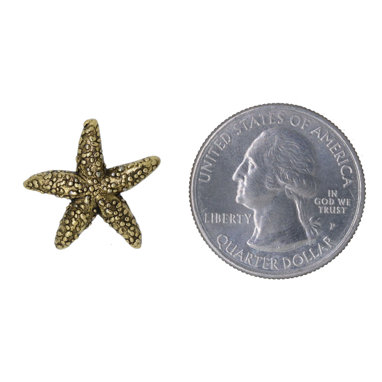 Starfish Lapel Pin With Story Card - Make A Difference Gift For Teachers, Nurses, Caregivers