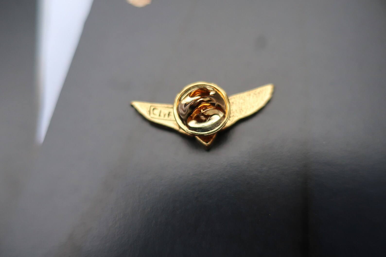 Gold Pilot Wings Lapel PinCC497G Aviation Pins for Pilots Etsy