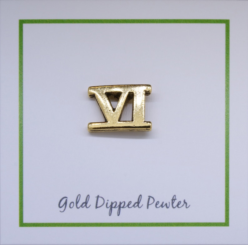 Roman Numeral 6 Gold Lapel Pin- CC609G-VI- Roman Numerals and Number ...