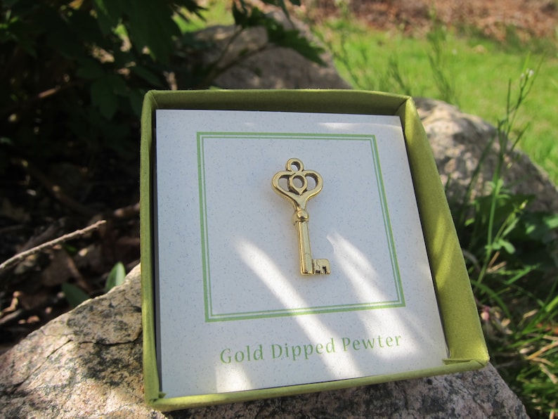 Gold Skeleton Key Lapel Pin CC417G Skeleton Key Passkey Etsy