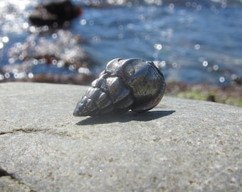 Seashell Lapel Pin - CC344- Sea, Ocean, Beach, Shells, Seaside, and Nautical Pins