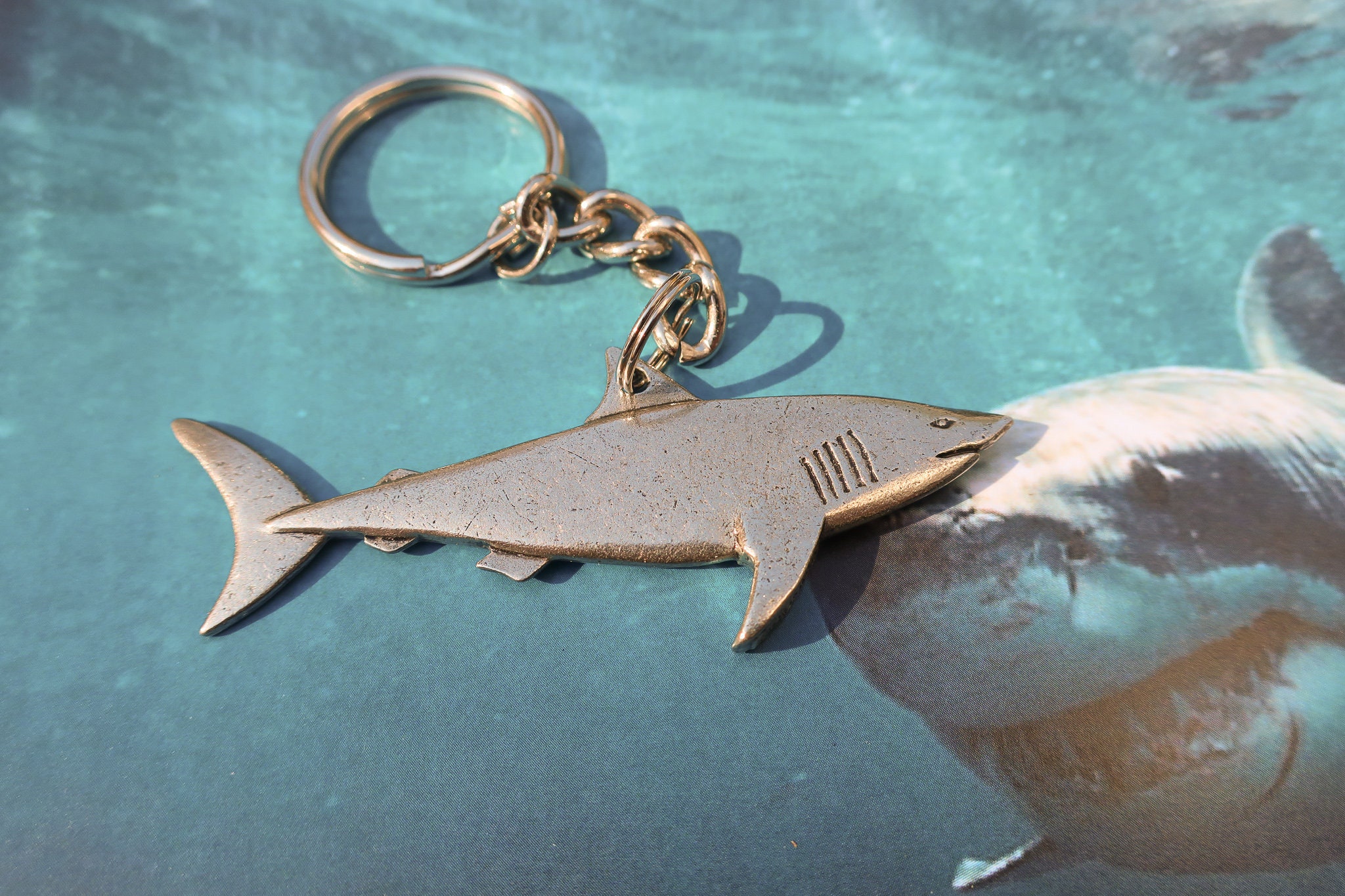 Buy Shark Keychain K119 Shark Week, Marine Biology, Aquarium, and Ocean  Animal Accessories and Gifts Online in India 