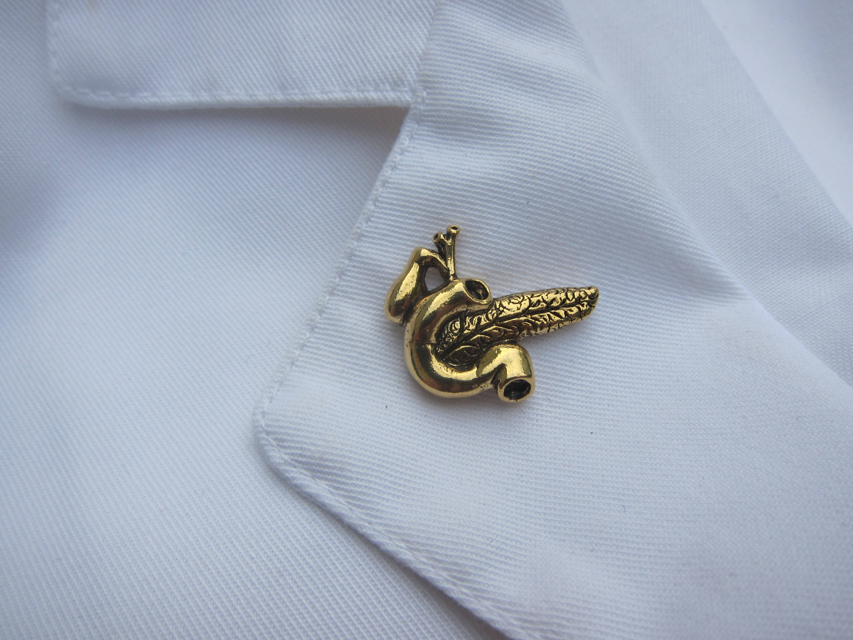 Gold Pancreas Lapel Pin CC620G Medical and Anatomy Pins for - Etsy