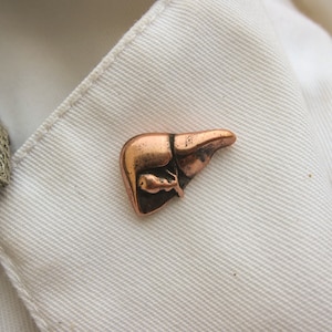 Kupfer Leber Lapel Pin- CC519C- Medizinische und Anatomie-Anatomie-Anstecknadeln für Ärzte, Krankenschwestern und das medizinische Feld- Leber, Lebererkrankungen, Organnadeln