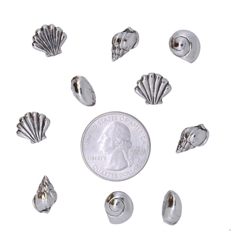 Seashells Pushpins Home Office Decor Seashell, Seaside, Ocean, Beach, and Nautical Decor for your Decorative Corkboard image 6