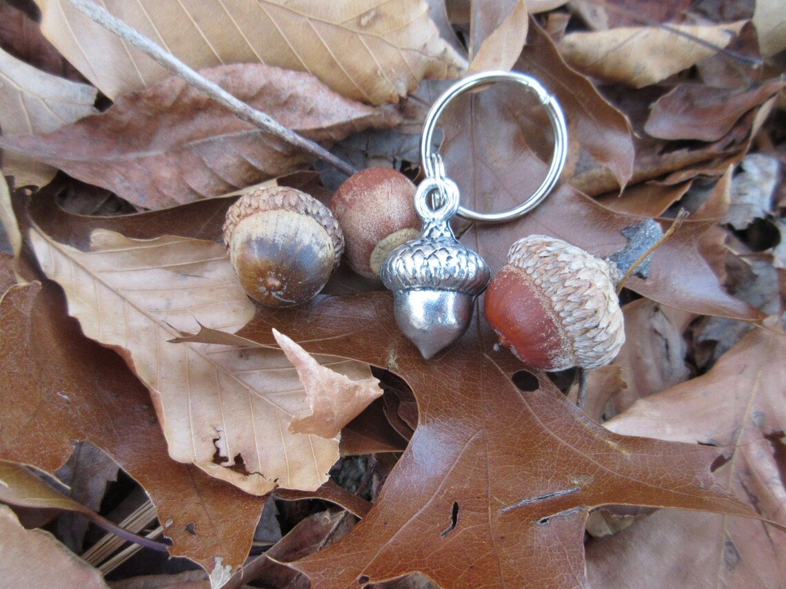 Acorn Keychain K138 Fall Accessories Fall Keyring Acorn Etsy