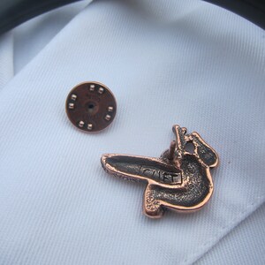 Copper Pancreas Lapel Pin- CC620C- Medical and Anatomy Pins for Doctors ...