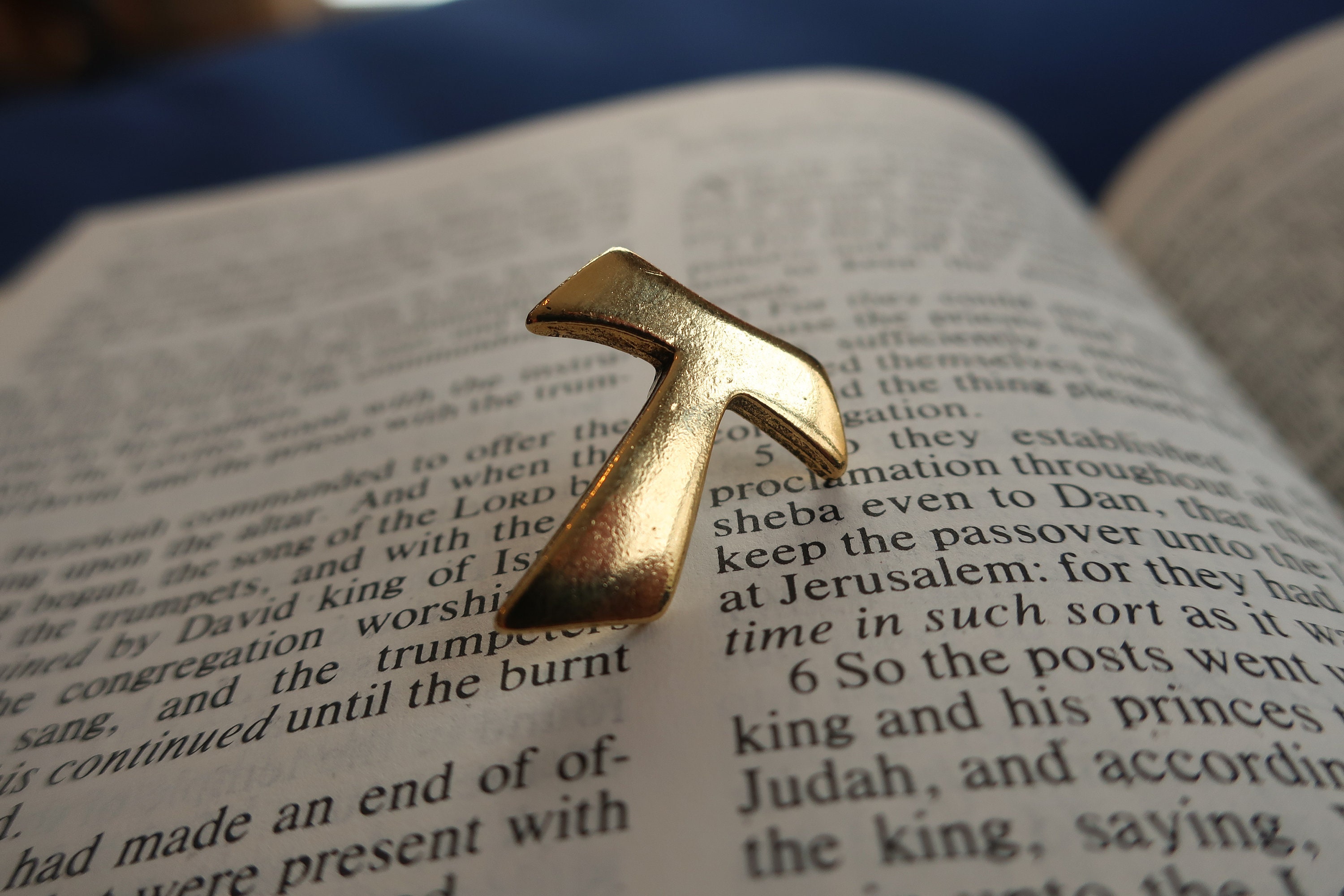 Franciscan Tau St. Francis Lapel Pin – Gold Dipped Pewter Cross