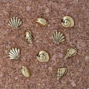 Seashells Pushpins- Home Office Decor- Seashell, Seaside, Ocean, Beach, and Nautical Decor for your Decorative Corkboard