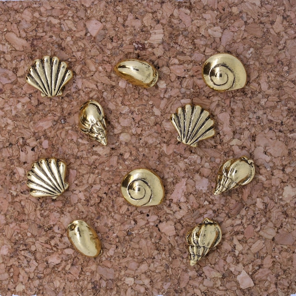 Muscheln Pins - Home Office Dekor - Muschel, Meer, Meer, Strand und Maritimes Dekor für Ihr dekoratives Korkbrett