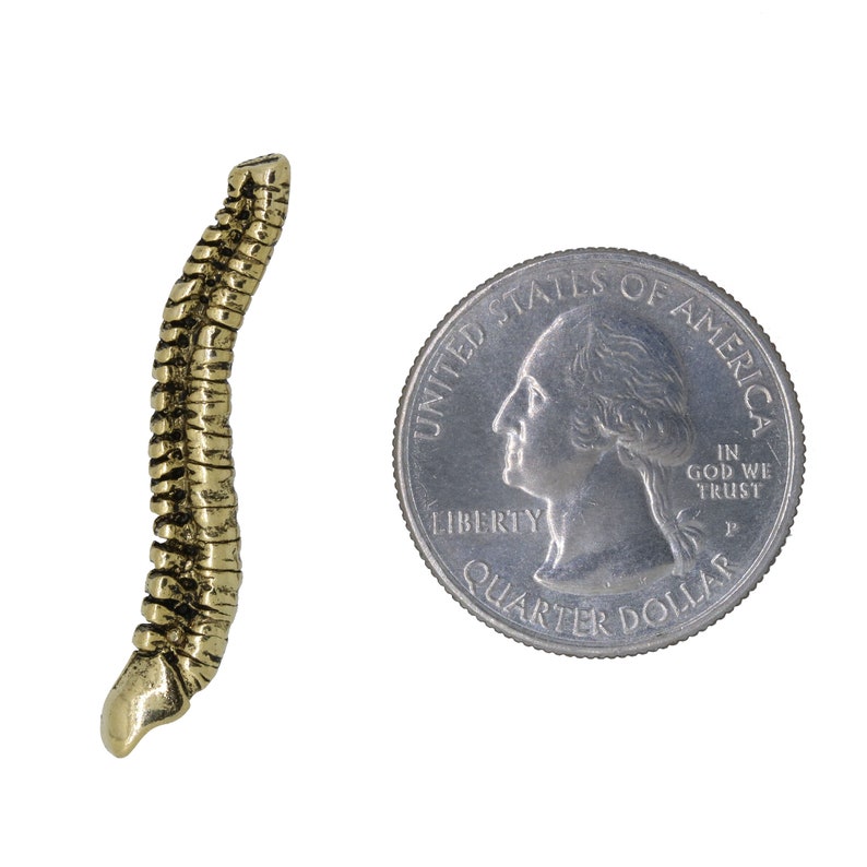 Gold Spine Lapel Pin Cc518g Chiropractor Medical And Etsy