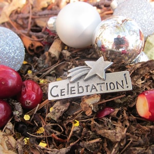 Celebration Lapel Pin- CC616- Celebration, Celebrate, Party Pins