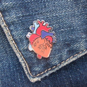 May include: A red, blue and orange anatomical heart enamel pin. The pin is on a blue denim background.