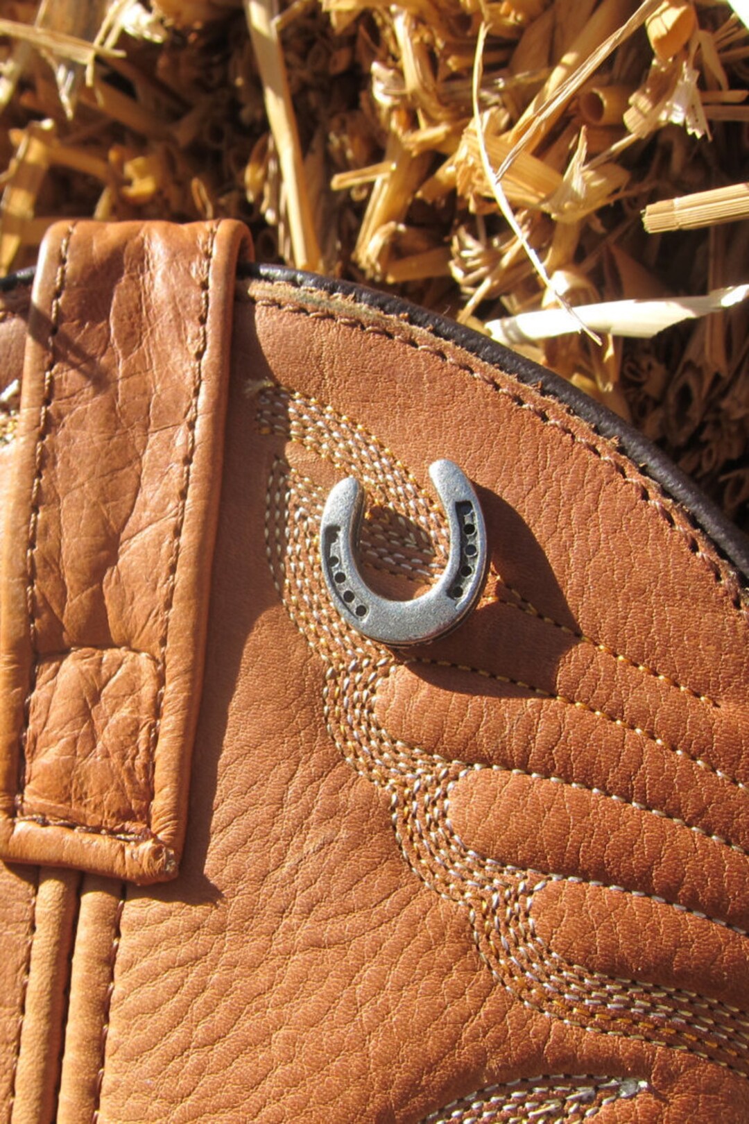 Horseshoe Lapel Pin CC463 Lucky Pins Pins for Luck Good Luck Charm