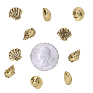 Seashells Pushpins Home Office Decor Seashell, Seaside, Ocean, Beach, and Nautical Decor for your Decorative Corkboard image 5