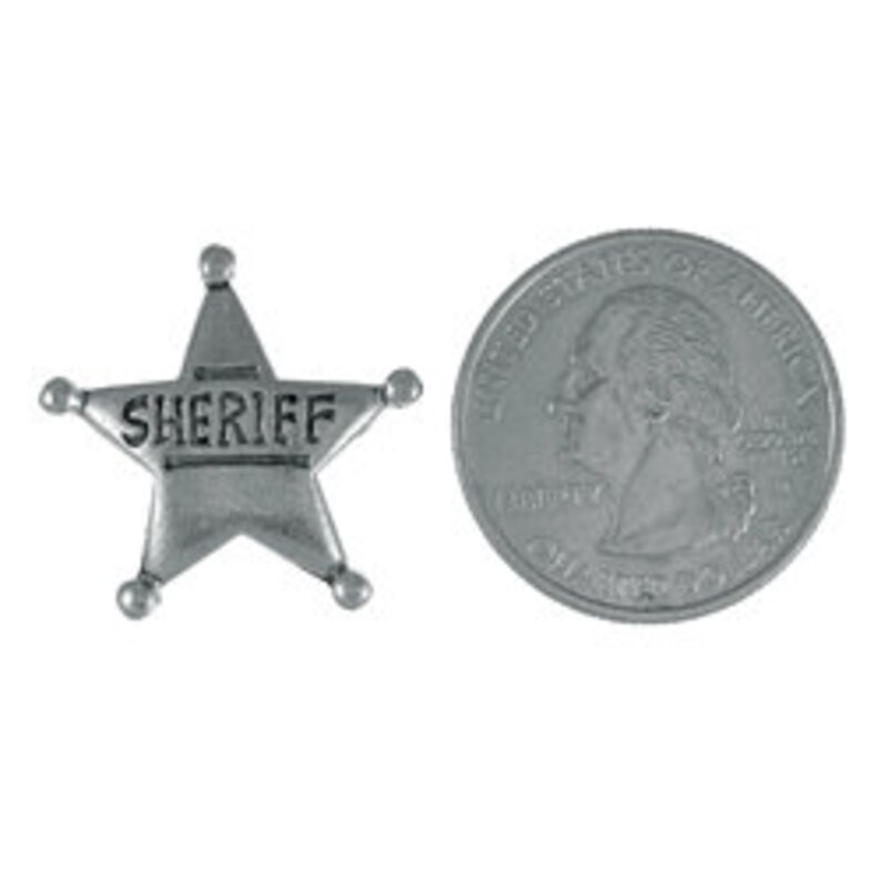 Sheriff Star Lapel Pin CC556 Sheriff Law Enforcement Etsy