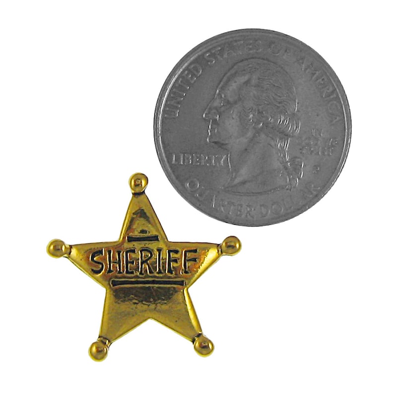 Gold Sheriff Star Lapel PinCC556G Sheriff Police and Etsy