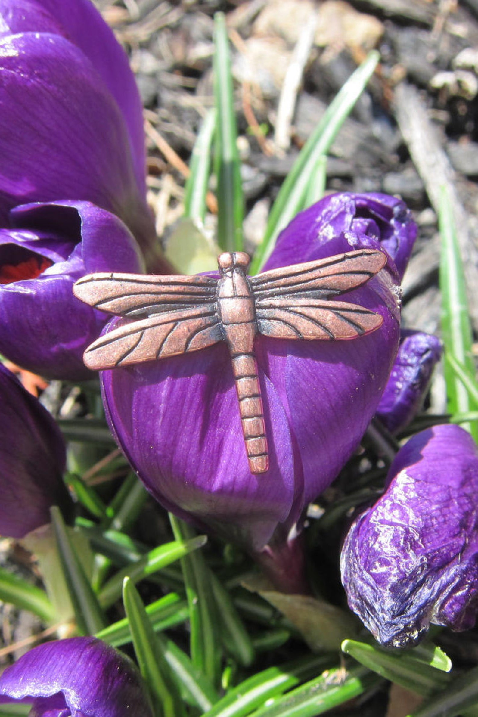 Copper Dragonfly Lapel Pin CC278C Dragonflies Dragonfly Etsy