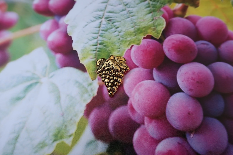 Gold Grapes Lapel Pin CC259G Grapes, Wine, Winery, Vineyard, and Fruit Lapel Pins image 2