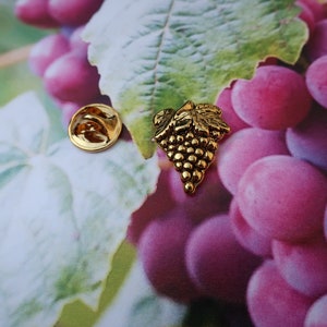 Gold Grapes Lapel Pin CC259G Grapes, Wine, Winery, Vineyard, and Fruit Lapel Pins image 8