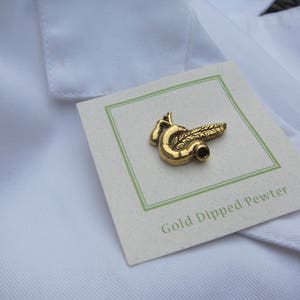 Gold Pancreas Lapel Pin- CC620G- Medical and Anatomy Pins for Nurses ...