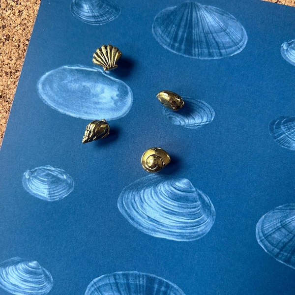 Puntine a forma di conchiglia - Decorazioni per la casa e l'ufficio - Decorazioni a tema conchiglie, mare, oceano, spiaggia e nautico per la tua bacheca decorativa in sughero.