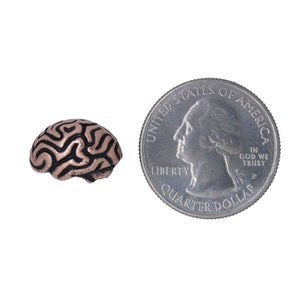 Copper Brain Lapel Pin CC157C Neurology and Medical Pins for Doctors and Nurses Hospital and Anatomy Pins image 3