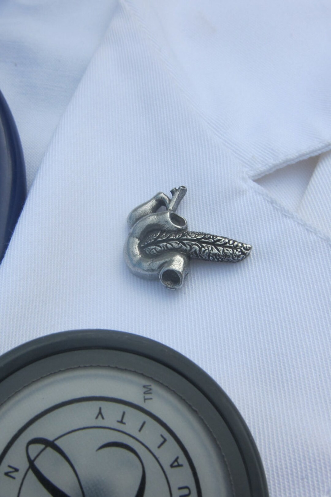 Pancreas Lapel Pin- CC620- Medical and Anatomy Pins for Nurses and ...