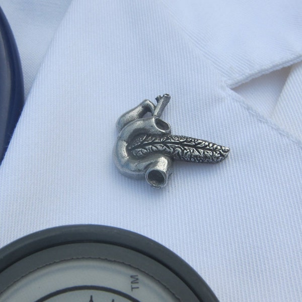 Pancreas Lapel Pin- CC620- Medical and Anatomy Pins for Nurses and Doctors