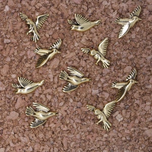 Bird Pushpins- PN127-Home Office- Bird Thumbtacks for a Decorative Corkboard