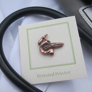 Copper Pancreas Lapel Pin- CC620C- Medical and Anatomy Pins for Doctors ...