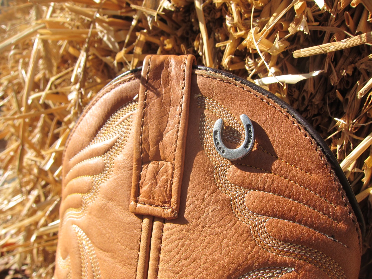 Horseshoe Lapel Pin CC463 Lucky Pins Pins for Luck Good Etsy