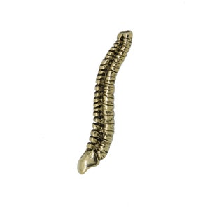 Gold Spine Lapel Pin- CC518G- Chiropractor, Medical and Anatomy Lapel Pins and Gifts