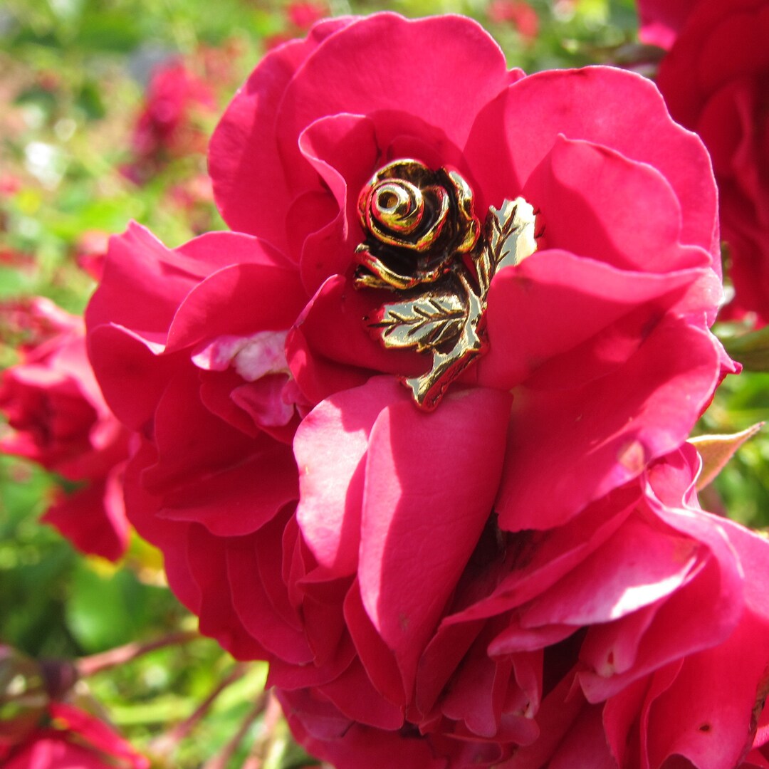 Gold Rose Anstecknadel CC365G Blumennadeln Gärtner, Gartengeschenke