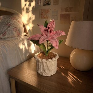 Crochet Flower Pot, Cute Desk Decor, Aesthetic Room Decor, Gift for Her, Small Gift Idea, Handmade Plant Decor, Forever Flower