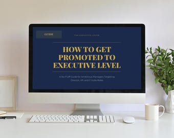 Executive Promotion Guide: Strategy, Scripts, 90-Day Plan (PDF Download)