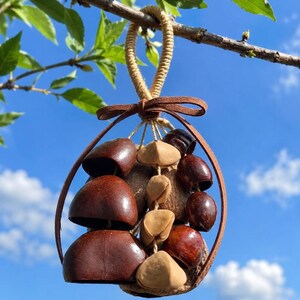 Peut inclure: Une décoration suspendue composée de diverses gousses de graines brun foncé et de noix triangulaires beige clair. Les éléments naturels sont suspendus à une boucle en corde tressée beige et encadrés par une fine lanière de cuir brun nouée.