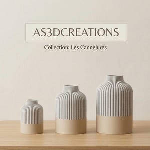 Può includere: Tre vasi in ceramica con strisce verticali grigie e base beige. I vasi sono di diverse dimensioni e sono esposti su una superficie di legno. Il testo "AS3DCREATIONS" e "Collection: Les Cannelures" sono visibili.