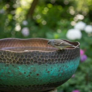 May include: A bird bath with a textured, copper-colored bowl and a teal-green patina. The bowl sits on a stone pedestal. A small bird perches on the edge of the bowl, with a blurred garden background.