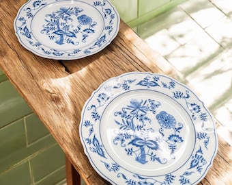 Blue Danube Salad Plates, Set of 2, Floral China 8.5 Inch