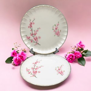 Vintage Peach Blossom 129A (Bolero) by WS GEORGE Set of 2 Nine Inch Luncheon Plates