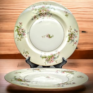 Theodore Haviland Apple Blossom Dinner Plates: Set of 2, Gold Edge