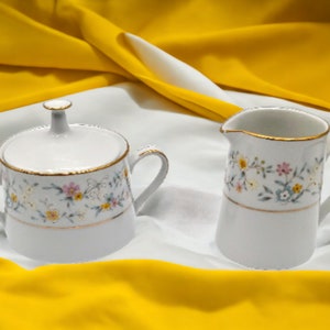 Noritake Delevan Creamer and Sugar Bowl Set: Floral Gold Rim, Circa 1975